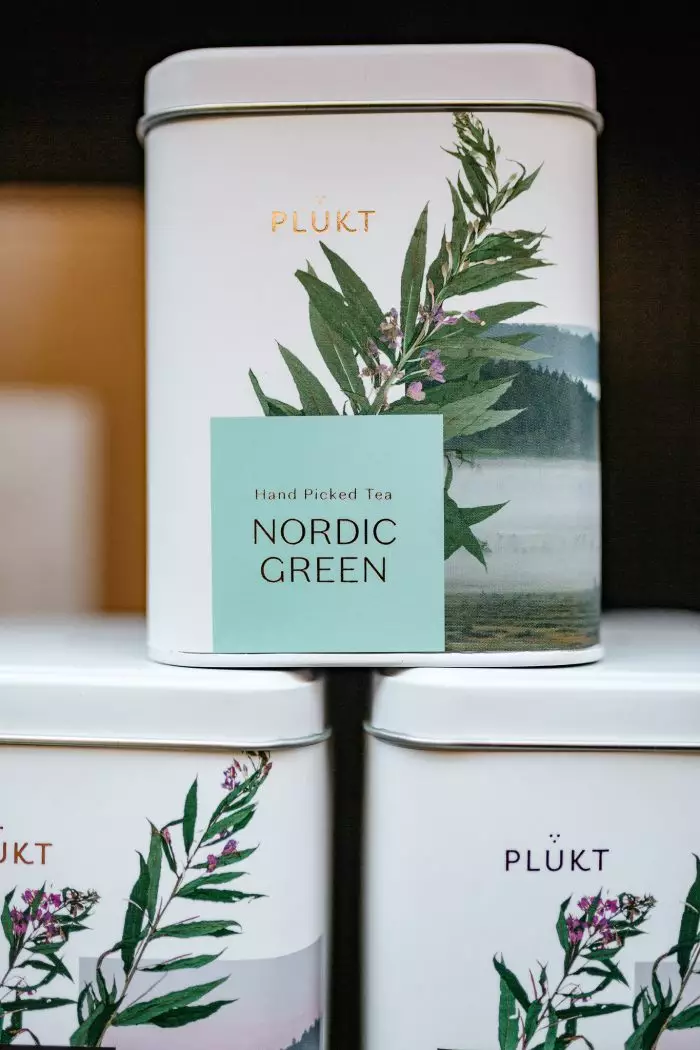 Tea "Nordic Green", 25 bags, organic
